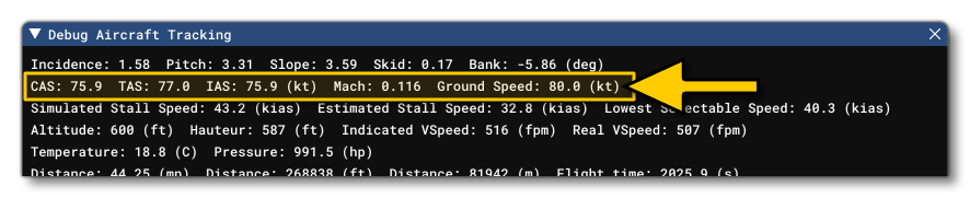 Checking The IAS And TAS In The Debug Tracking Window